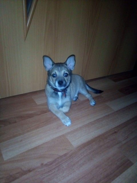 Растет наша мелочь. Растет наша мелочь.