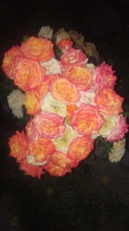 Скучаю по своим розам. Скучаю по своим розам.