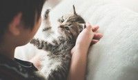 Аллергия на домашних животных. Что делать?