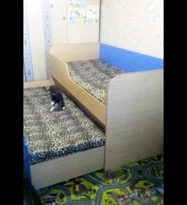 У кого есть подобные кровати У кого есть подобные кровати