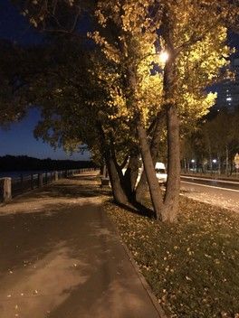 Осень 🍂 Немного обо мне и о семье ) Осень 🍂 Немного обо мне и о семье )