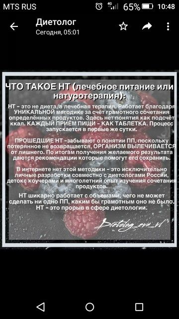 Диета НТ (натуротерапия) Диета НТ (натуротерапия)