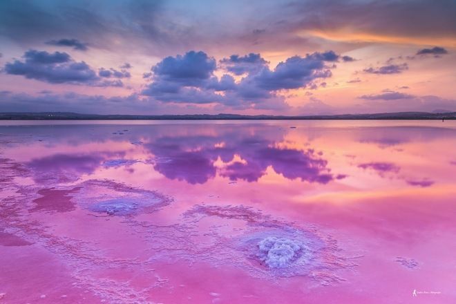 Розовое озеро в Торревьеха