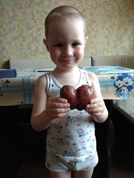 Голосование за фото - конкурс "Необычный урожай" Голосование за фото - конкурс "Необычный урожай"