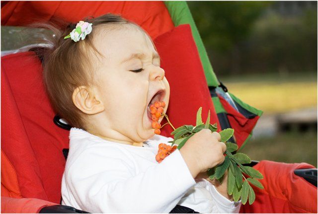 Плохой аппетит у детей первого года жизни: что не так, и как это исправить?
