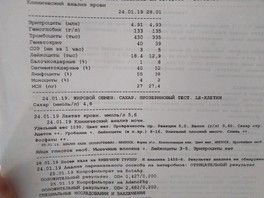 Вот наши 2 прошлых Вот наши 2 прошлых