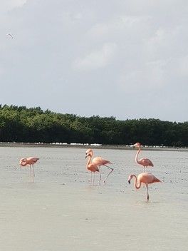 Каникулы в Мексике Каникулы в Мексике