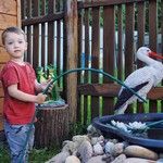 Рома и Регина