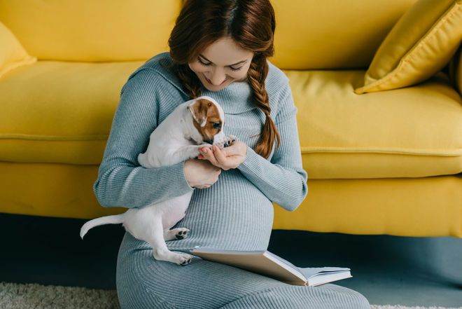 Новое исследование: собаки могут заразить своих беременных хозяек
