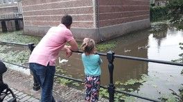 Привет, девочки Привет, девочки