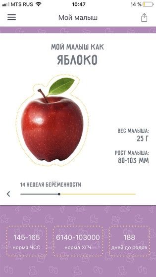13 недель 1 день ❤️