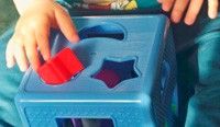 Разложите по коробкам все источники аллергии!