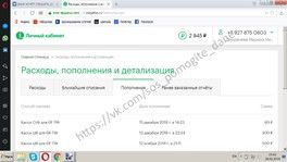ДОМРАЧЕВ ДАНИИЛ Отчет о собранных средствах за 15.02.2019 - 18.02.2019 ДОМРАЧЕВ ДАНИИЛ Отчет о собранных средствах за 15.02.2019 - 18.02.2019