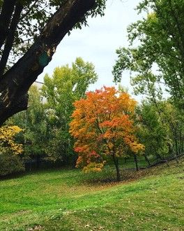 Осень 🍂 Немного обо мне и о семье ) Осень 🍂 Немного обо мне и о семье )
