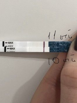9 ДПО и 11 ый после укола хгч 5000 ед 9 ДПО и 11 ый после укола хгч 5000 ед