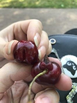 Голосование за фото - конкурс "Необычный урожай" Голосование за фото - конкурс "Необычный урожай"