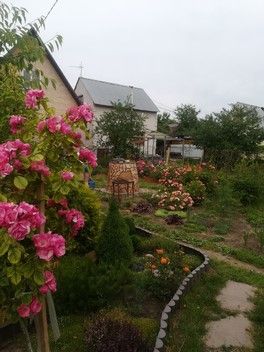 Скучаю по своим розам. Скучаю по своим розам.
