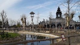 Привет, девоньки,красавицы Привет, девоньки,красавицы