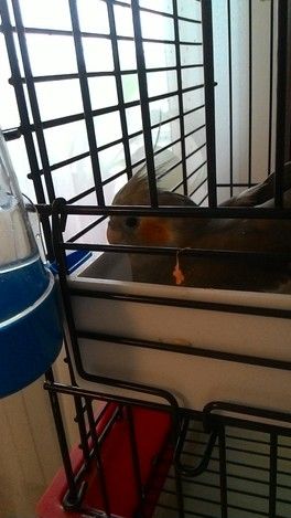 Ну не могу не похвастаться!))) Ну не могу не похвастаться!)))