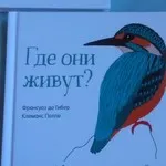 Динозавры!