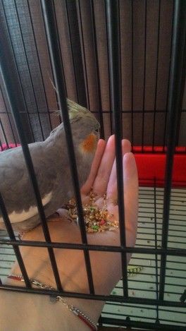 Ну не могу не похвастаться!))) Ну не могу не похвастаться!)))
