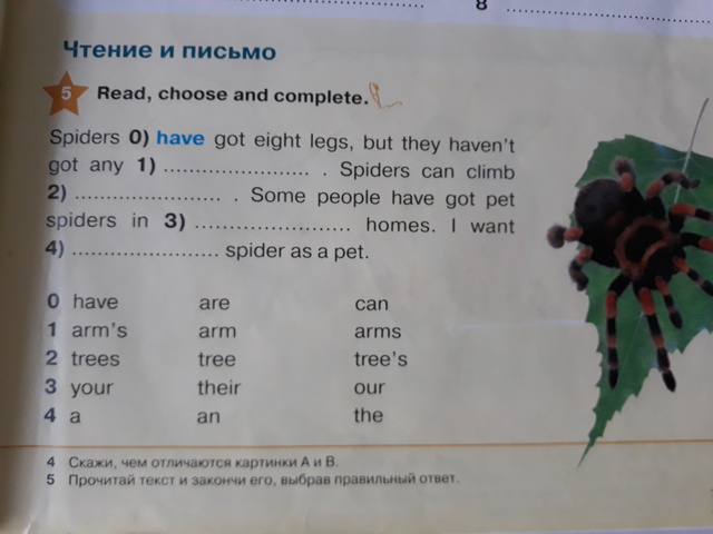 Девочки, кто английский знает??